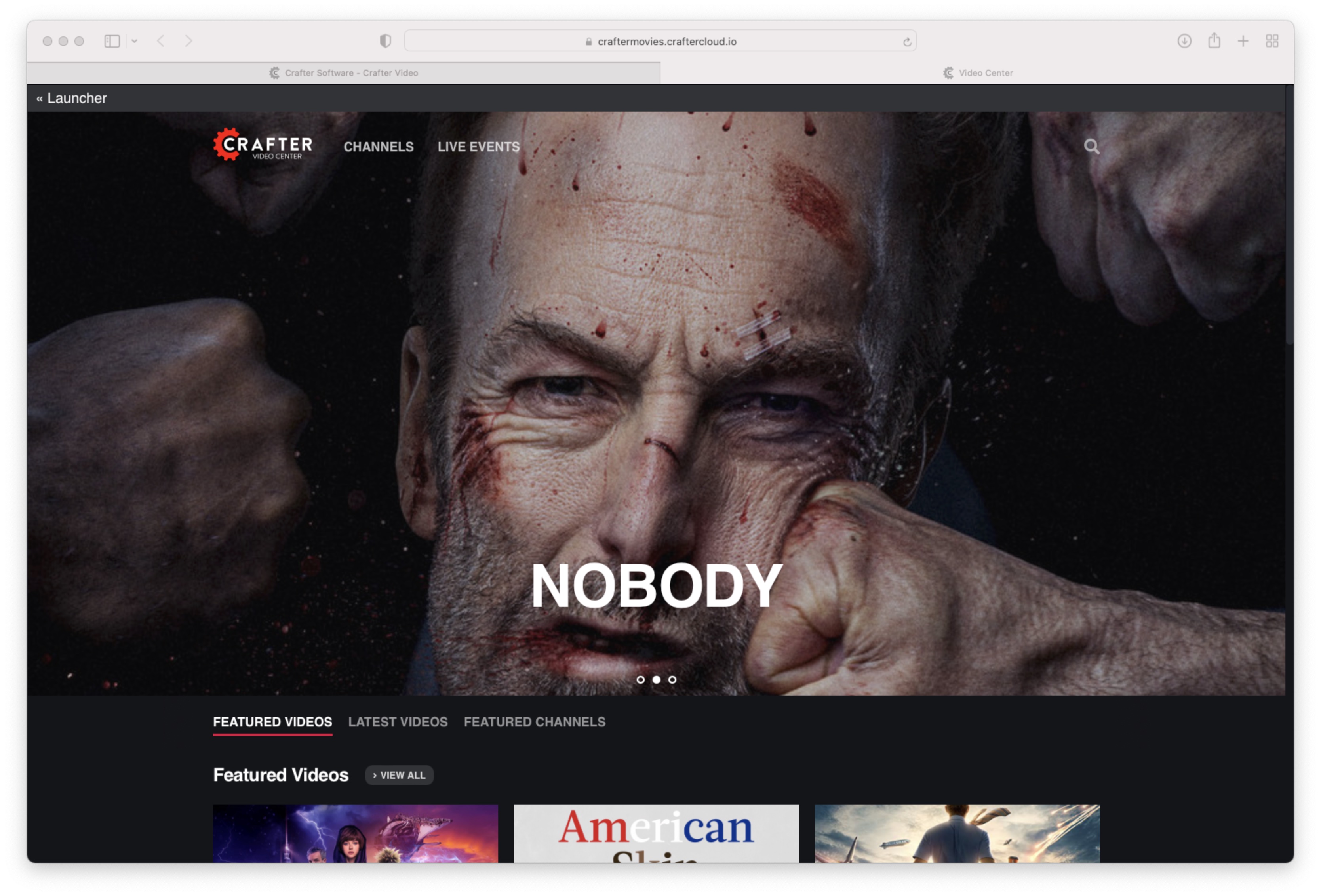 Crafter_video_window